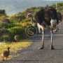 Reports help us track the ecological situation