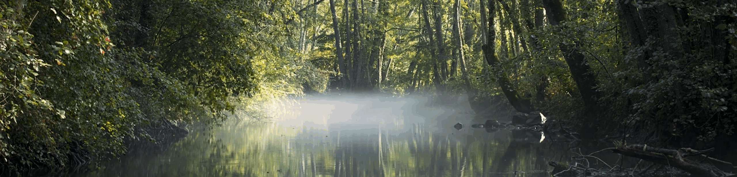 Décharge de Terre Sainte - Tattes de Bogis
